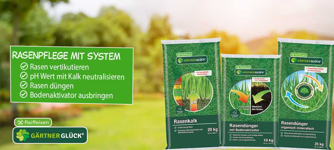 Rasenpflege im Frühjahr